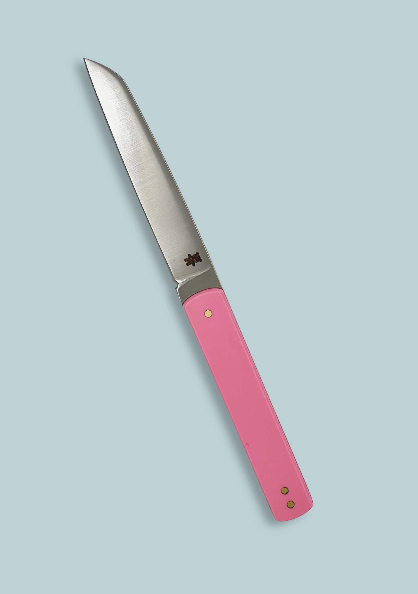 (M05) Cuchillo de mesa rosa